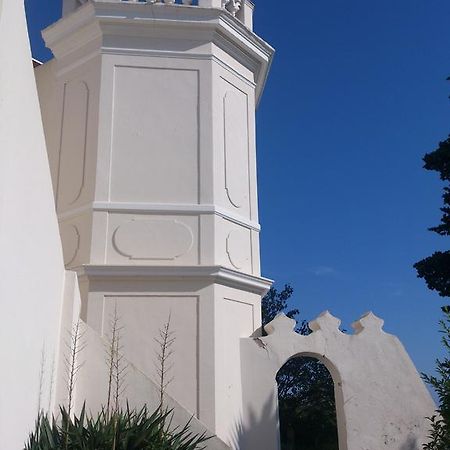 Villa-Chateau Les Terrasses - Tamaris, Plage Des Sablettes, Mer Au Bas De La Propriete ลาแซน-ซูร์-แมร์ ภายนอก รูปภาพ