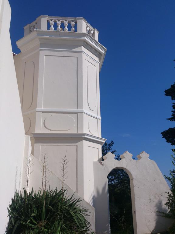 Villa-Chateau Les Terrasses - Tamaris, Plage Des Sablettes, Mer Au Bas De La Propriete ลาแซน-ซูร์-แมร์ ภายนอก รูปภาพ