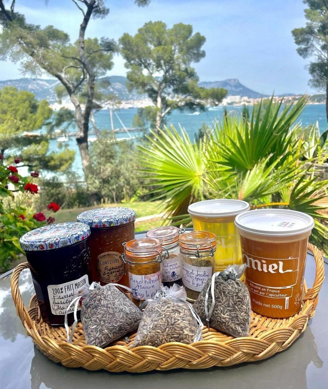 Villa-Chateau Les Terrasses - Tamaris, Plage Des Sablettes, Mer Au Bas De La Propriete ลาแซน-ซูร์-แมร์ ภายนอก รูปภาพ