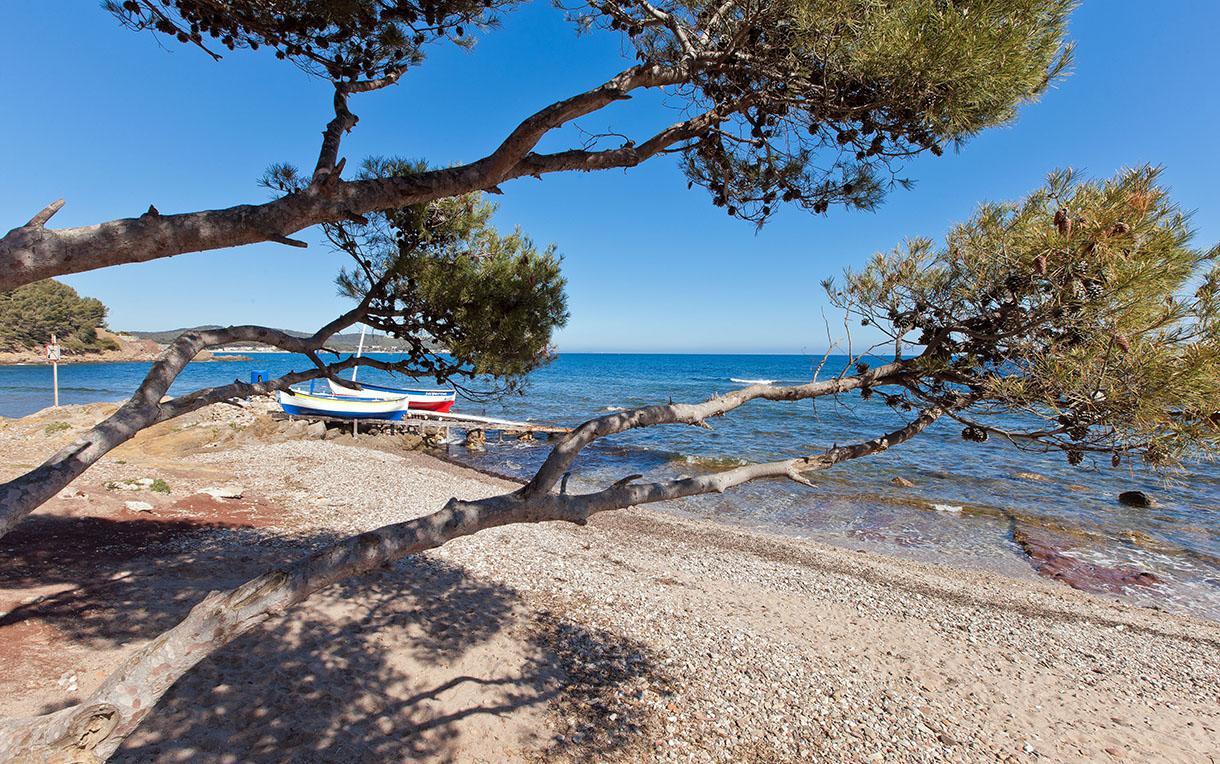 Villa-Chateau Les Terrasses - Tamaris, Plage Des Sablettes, Mer Au Bas De La Propriete ลาแซน-ซูร์-แมร์ ภายนอก รูปภาพ